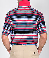 101324 - Primary Stripe Polo